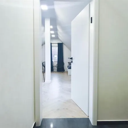 公寓 Alfa Studio-apartment 2 Betten Kueche Bad L Smarttv Wifi L Porsche & Bosch L 2 Beds Kitchen Bath Bs21a11 斯图加特